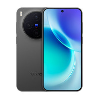 Смартфон Vivo X300 16/512 Black